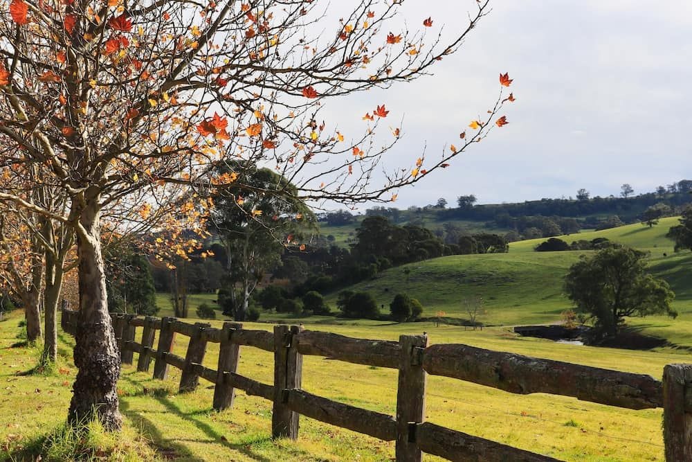 Plant maintenance in Southern Highlands